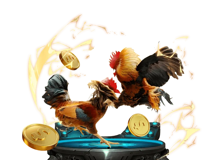 Đội ngũ chuyên nghiệp của 49win